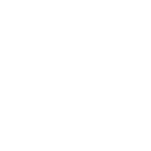 Fast Medical AI
